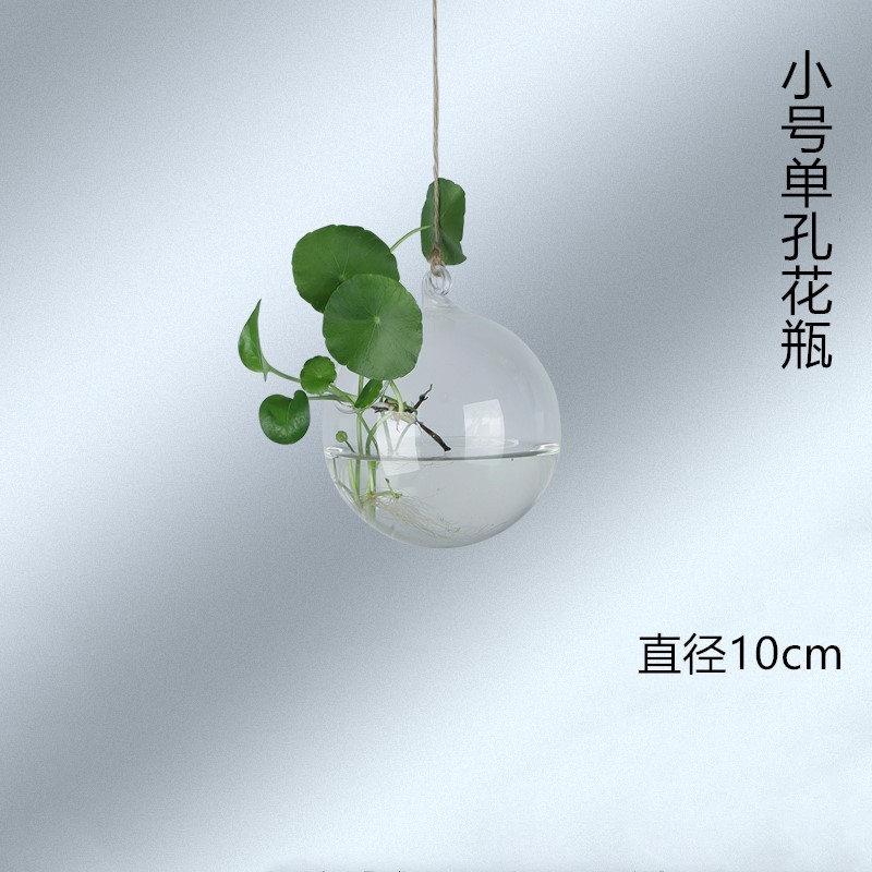 10cm 공