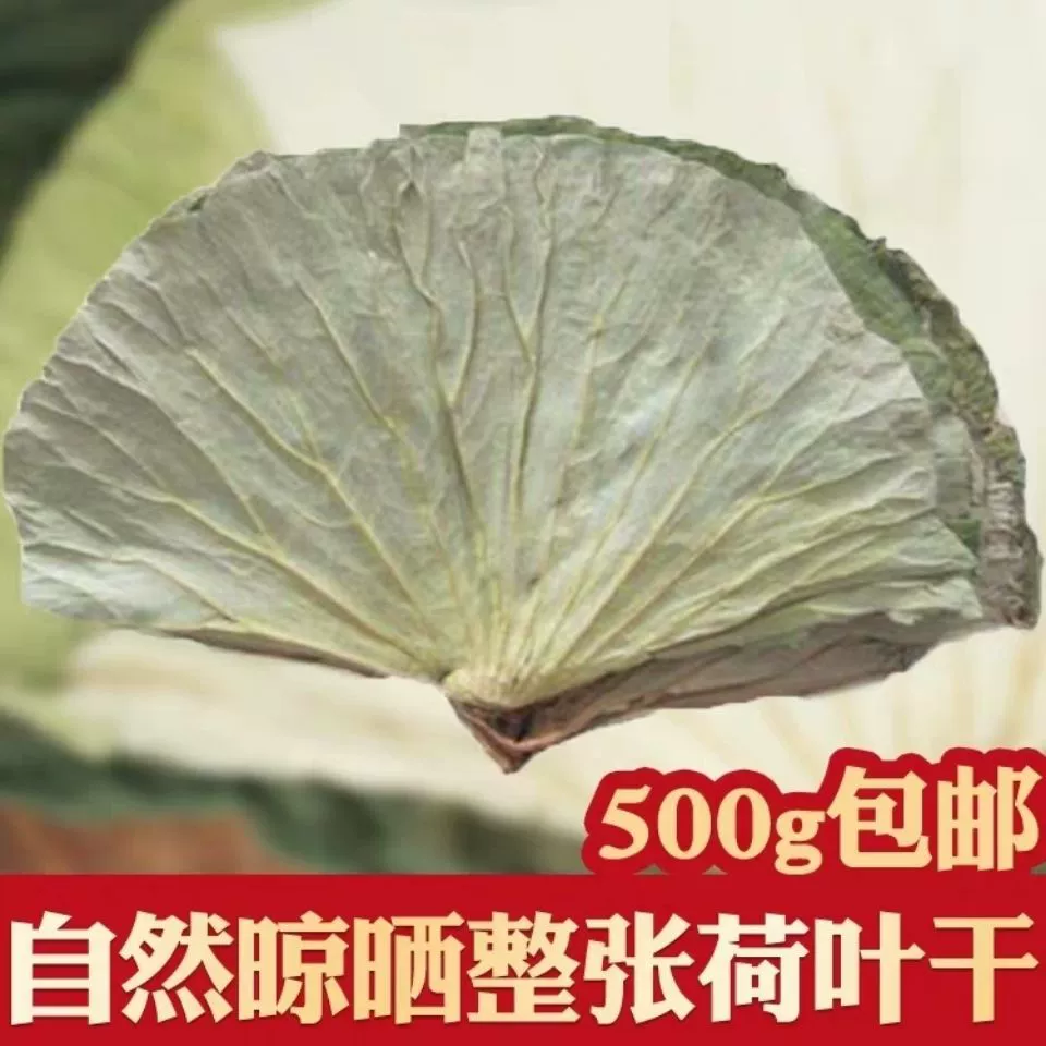 Озеро Weishan свежий цельный сушеный лист лотоса 500 г курица нищего целый большой лист лотоса, обернутый рисом клейкий рис курица