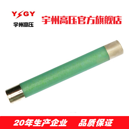 供应XRNP-10 35系列电压互感器保护用熔断