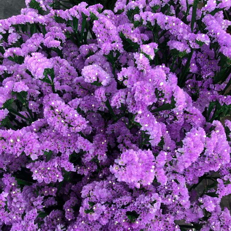 微信图片_20200221143126_副本