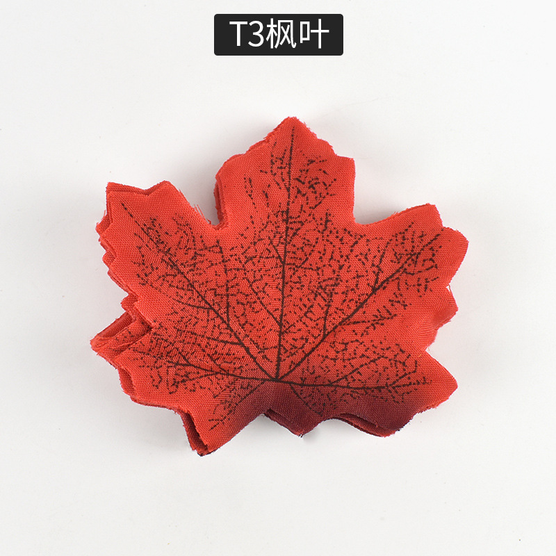 T3枫叶