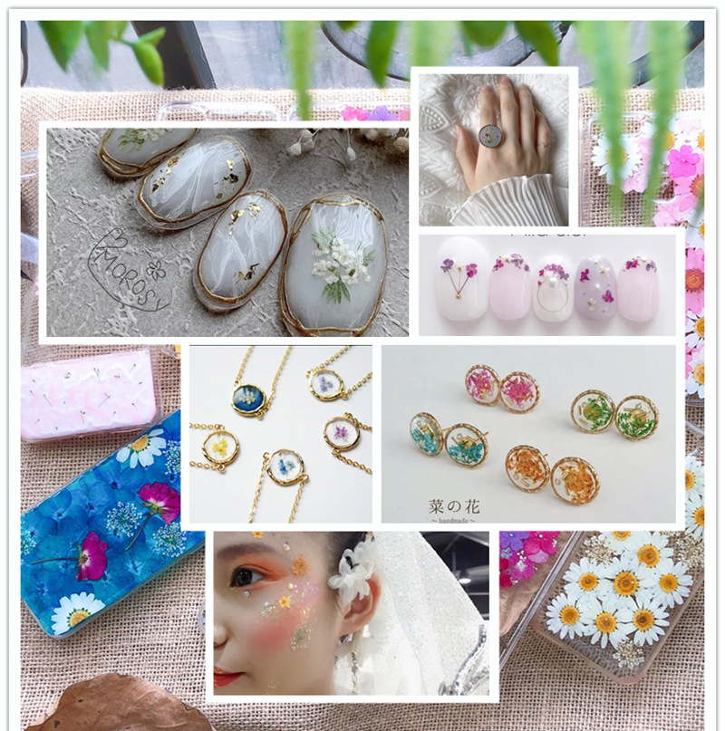 1BFF89271742A94978C591748D49C6