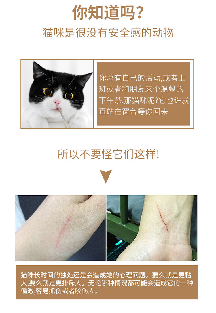 充电逗猫棒