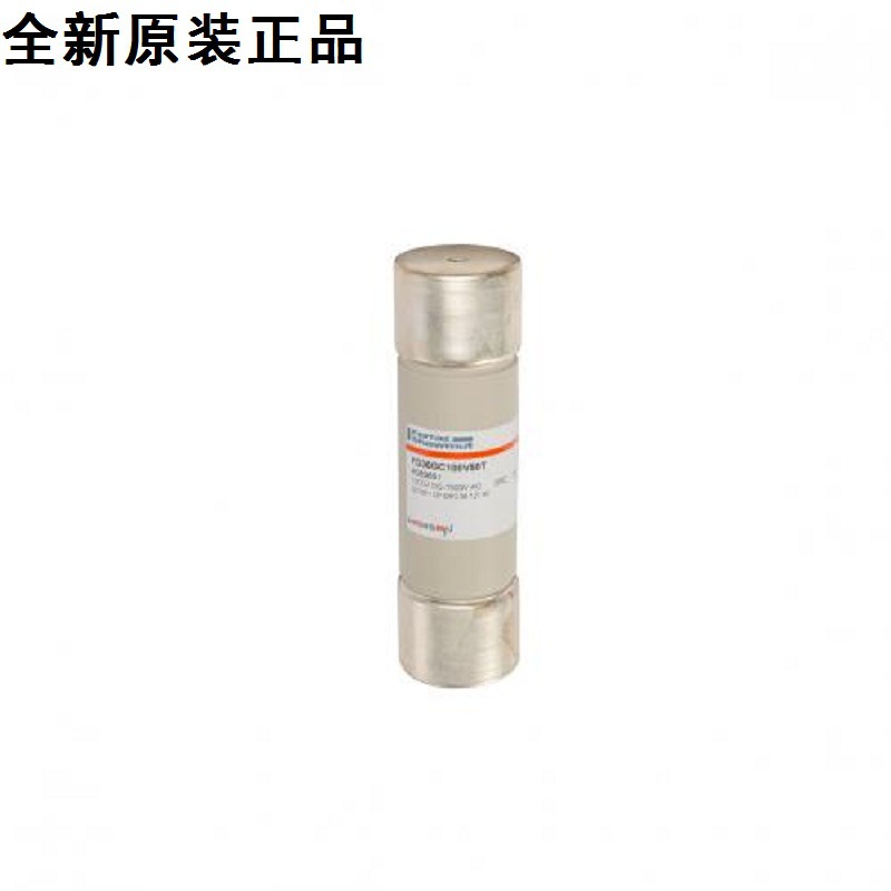 法雷罗兰熔断器 FD36GC100V100T Z083650 C1051CPgRC36x127/100