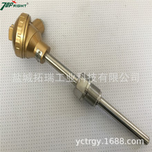 供應pt100熱電阻 防爆熱電阻 裝配式熱電阻 非標定做