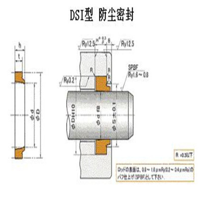 NOK Reciprocating seal ring DSI Reciprocating motion dustproof Sealing element Full size Of large number goods in stock