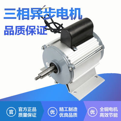 厂家直销批发定制YY7114卧式微型电动机三相异步电机风机水泵