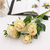 New product Spot Long Zhi Rose Rose Simulation Flower Flower Wedding Decoration Fake Flower High Simulation Silk Rose