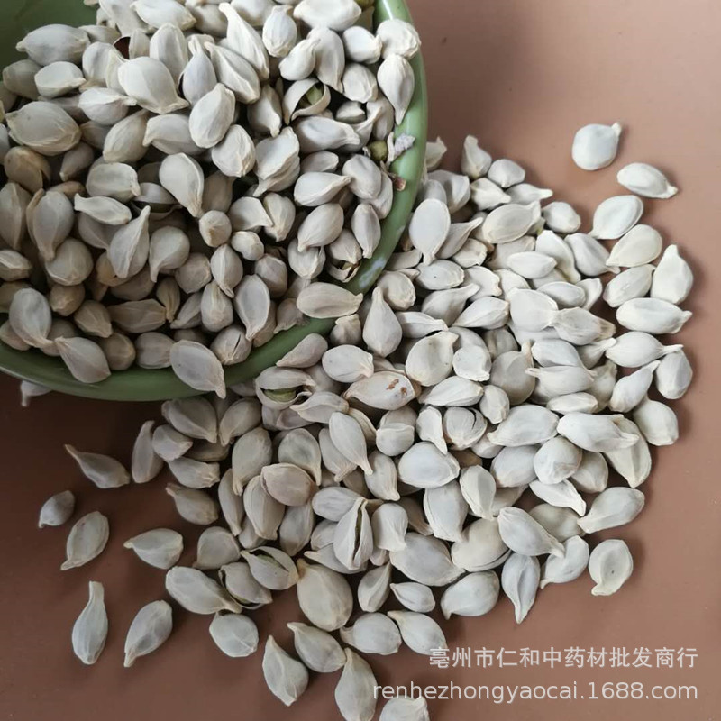 Dried Tangerine Seed Ju He 500g Whole Citrus Seeds Raw Herb for Decoction quality and texture