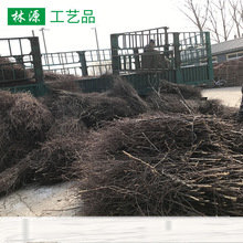 厂家批发桦树枝批发 背景墙装饰工艺品原材料插画桦树枝