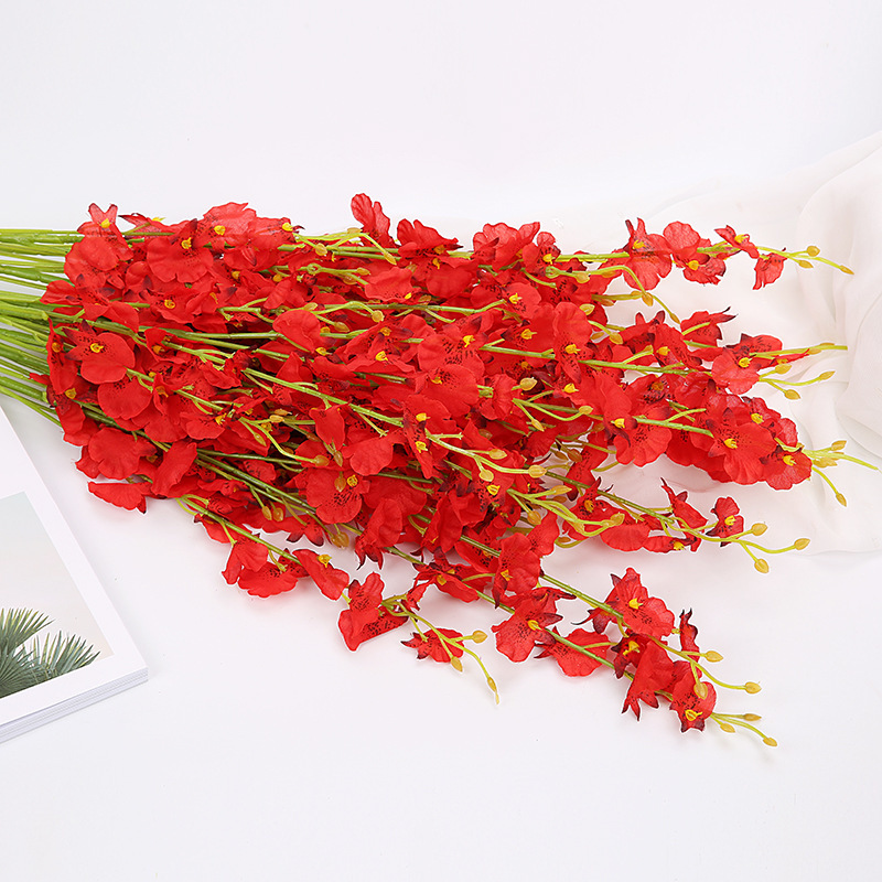 9036547499_727944227