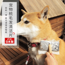 �ձ��M��sowa�������坍Ƭ ����ë�������� �W��ë�l�坍Ƭ