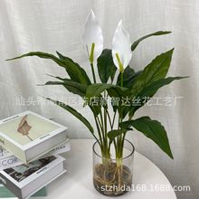 仿真植物仿真树仿真绿植室内客厅盆栽假花水培盆景一帆风顺白掌花