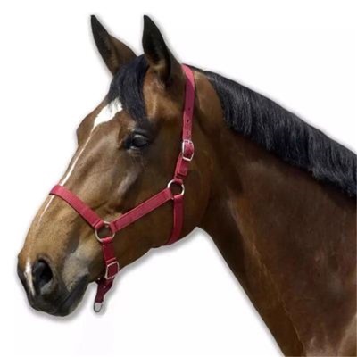 专业生产马用品 马笼头 马头套 马缰绳 马具 可订做各款式马护具