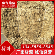 ���l�b���ݴ� ��Ѵ���ݰ� ��������Ƭ ʩ�����o·������ݰ�