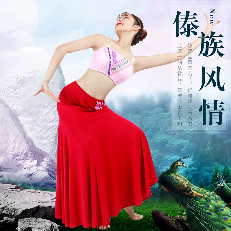 Танцевальная одежда Дай Женское художественное представление Танцевальная одежда Танцевальная одежда Танцевальная юбка Танцевальная юбка Танцевальная одежда