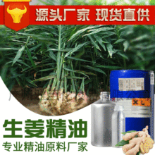 �������͏S�����] ���͘�֬���� ���η�����ԭ��