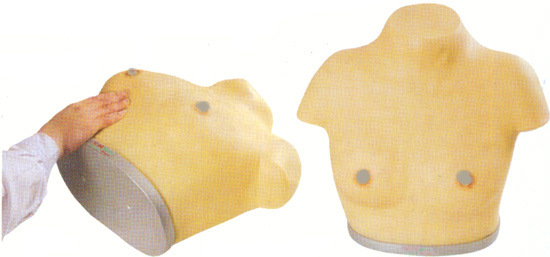 妇婴模型|F7B型 高级乳腺视诊与触诊模型|护理模型|诊断模型