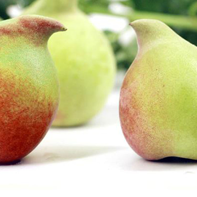 贛南鷹嘴桃5斤10斤大果孕婦新鮮水果脆甜桃子非廣東連平鷹嘴蜜桃