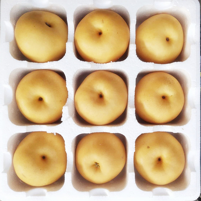 b3a42654d9c9dc9225dbe1a0cf32ba