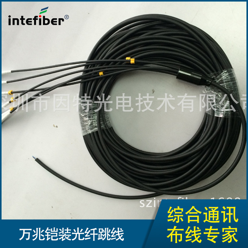 LC-LC8芯多模万兆铠装光纤跳线150米200米电信级因特光电厂家批发