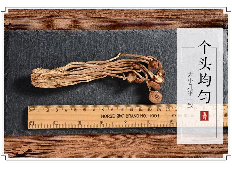 玉耳內(nèi)頁(yè)1.1_11