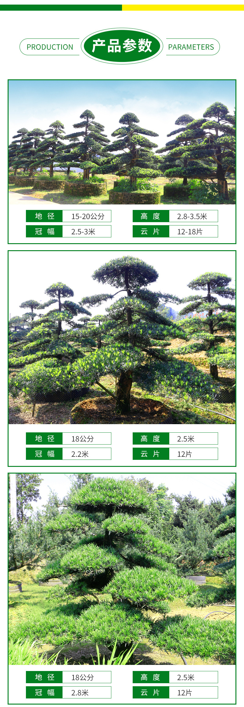 �޺���-����_07