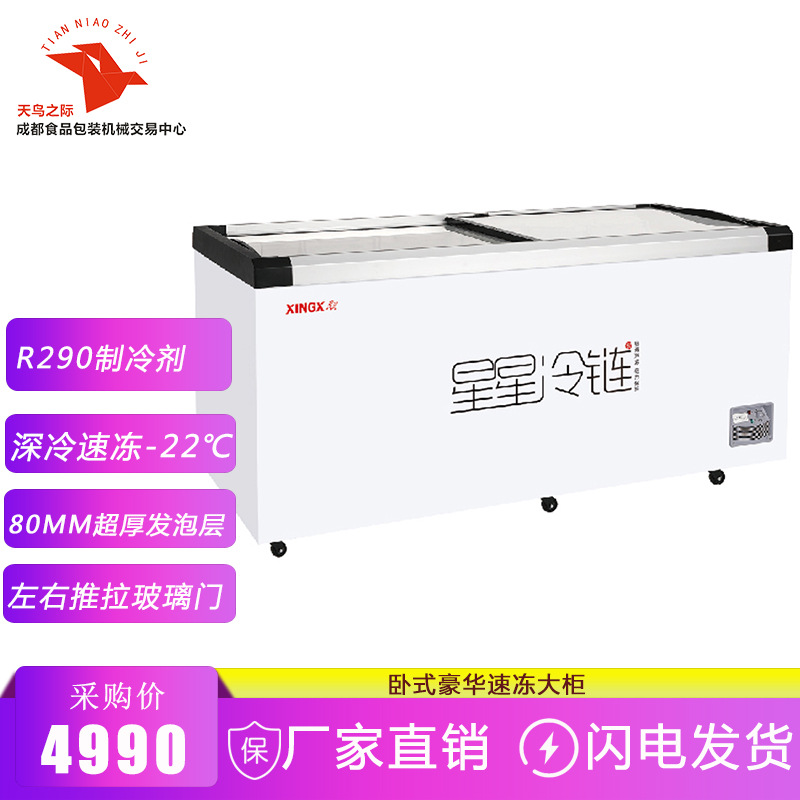 星星XINGX 豪华速冻柜 卧式展示柜平玻柜玻璃推拉门单温冷藏冷冻