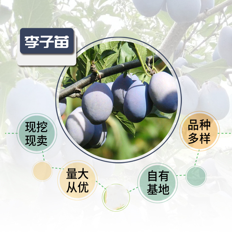 d6df472cce93cafe73441b5facc8cc