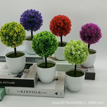 ����ֲ�������辰С�[���ٻ�����ղ��� �Ҿ��k������С�b�