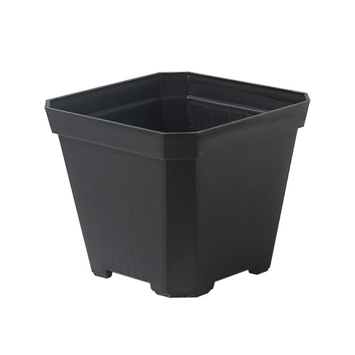 Plastic flower pots seedling pots succulent nutrient pots small square pots black square white square