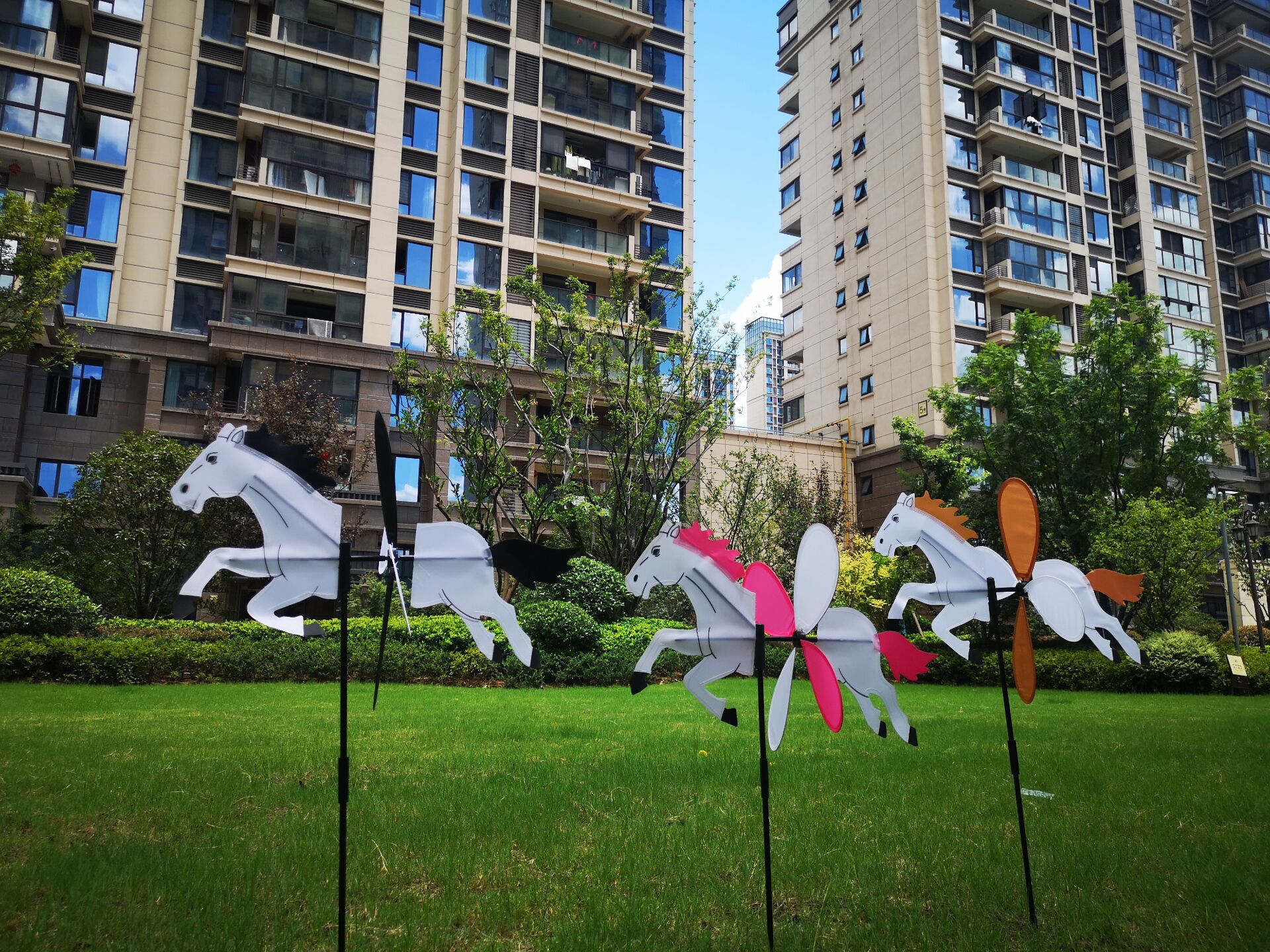 QQ图片20200801131004