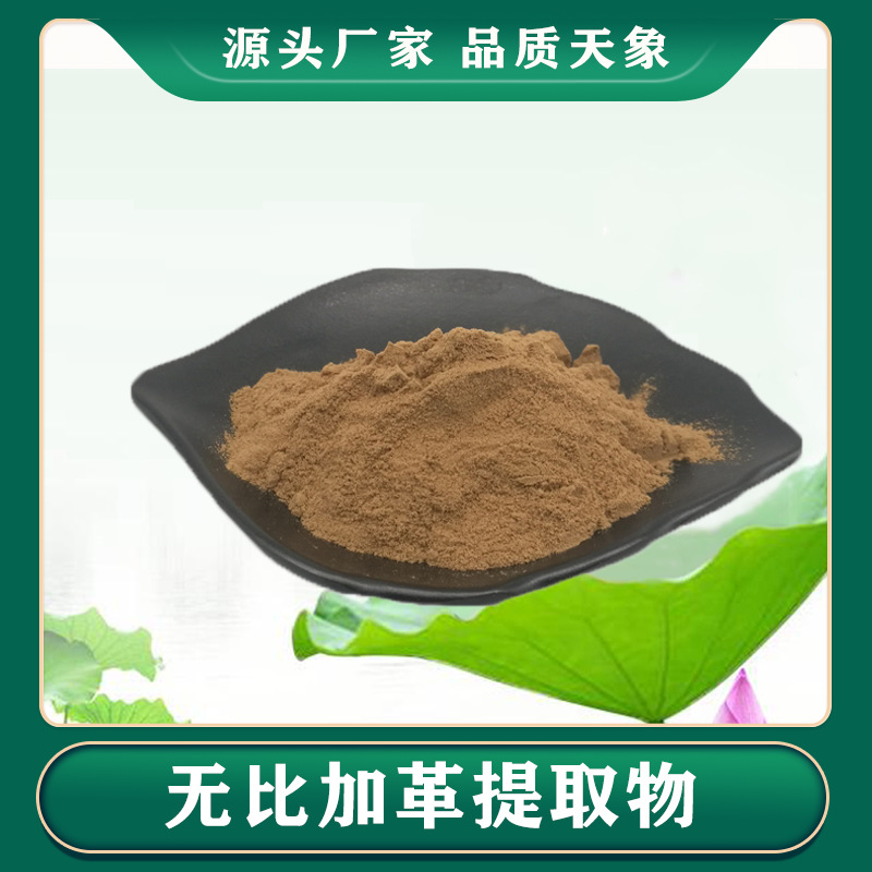 无比加革提取物0 1 无比加革粉高比例萃取粉厂家供应 阿里巴巴