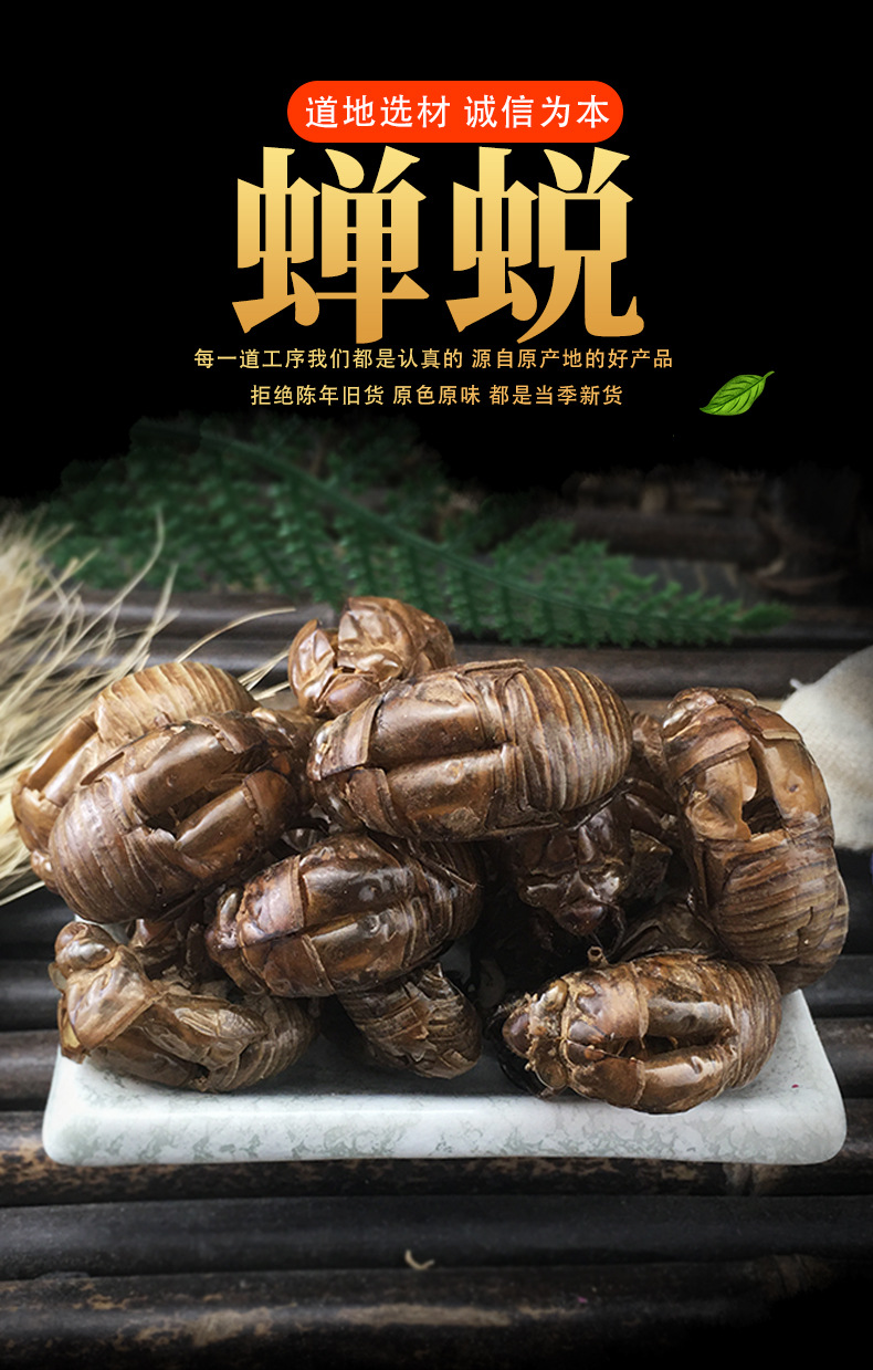 Cicada Slough Chan Tui 蝉蜕 Dried Whole Molts Traditional TCM Herb 500g Washed and Sun Dried key features