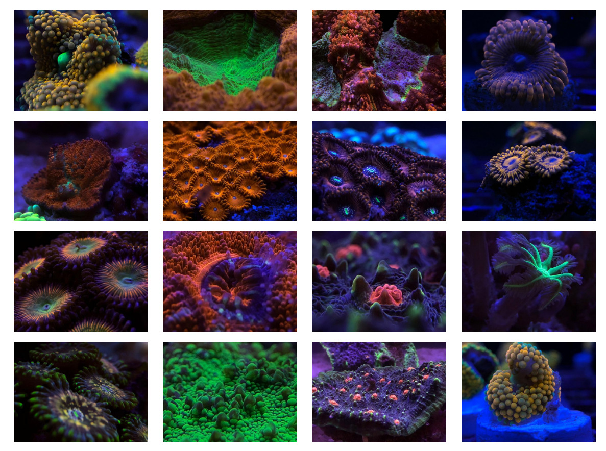 DSOSHU57HCP{B`7A%1{F17R