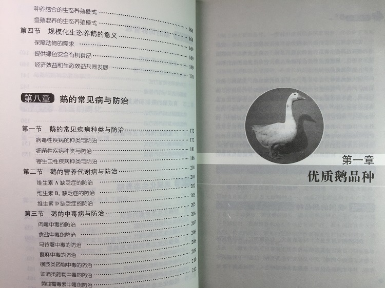 易游娱乐城- YY易游体育官方网站- 易游体育APP畜牧养殖动物疾病发病原因及预防