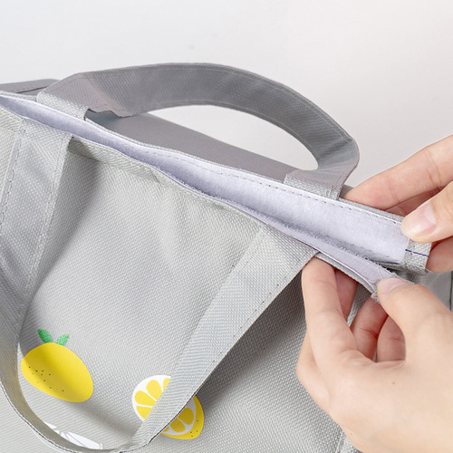 Japanese-style fashionable minimalist large-capacity fresh fruit colorful picnic insulated bag waterproof bento lunch box bag for wholesale