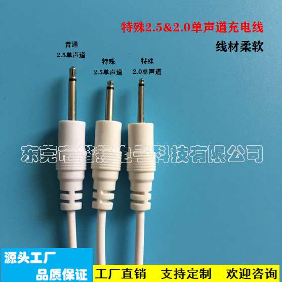 Factory Direct DC2.5 2.0 Mono Audio Adult Sex Toys Charging Cable Medical Supplies Charging Cable