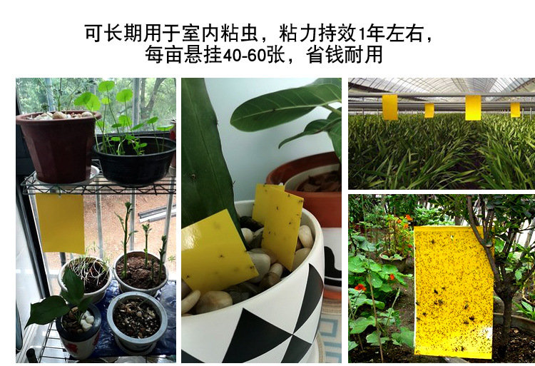 沾虫板源文件_12