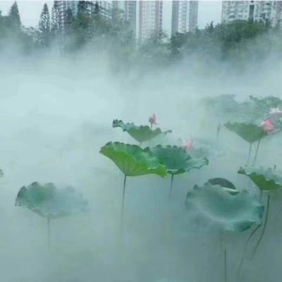 浙江园林景观小区水池公园造景人造雾设备雾森系统主机高压冷雾机|ms