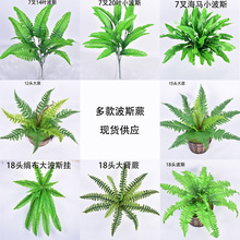 ˹ާGֲbIާֲﲨ˹~c߲˹ާ