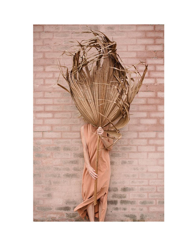 ins palm leaf palm leaf dried palm leaf forest wedding decoration props shop display soft furnishings floor decorations
