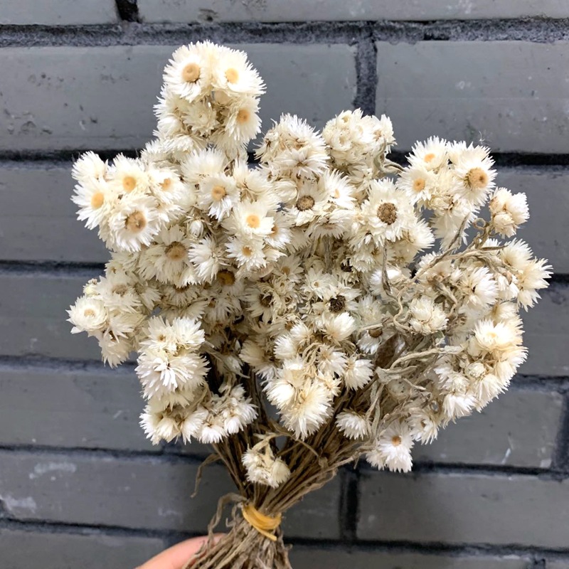 微信图片_20200911132137