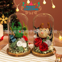 圣诞情人节礼物永生花玫瑰玻璃罩礼盒创意居家摆件永生花成品批发