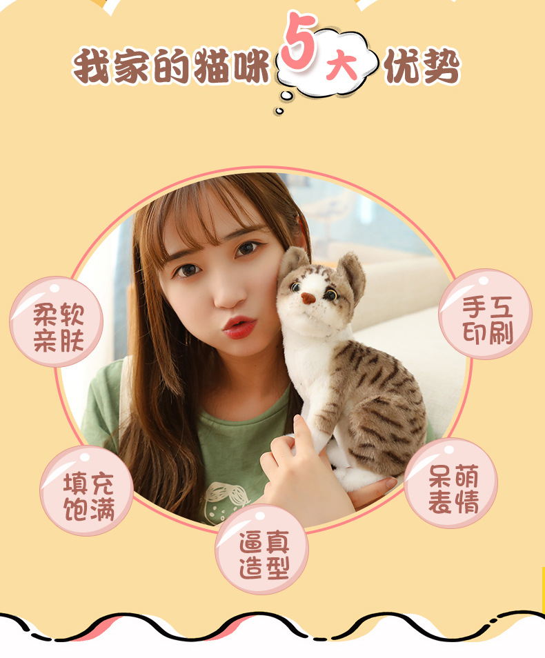 仿真猫 (2).jpg