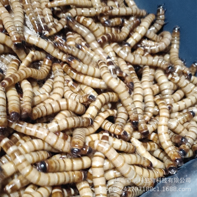 微信图片_20200703105546_副本