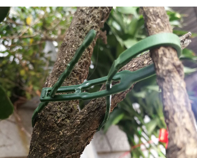 鱼骨刺_05.jpg