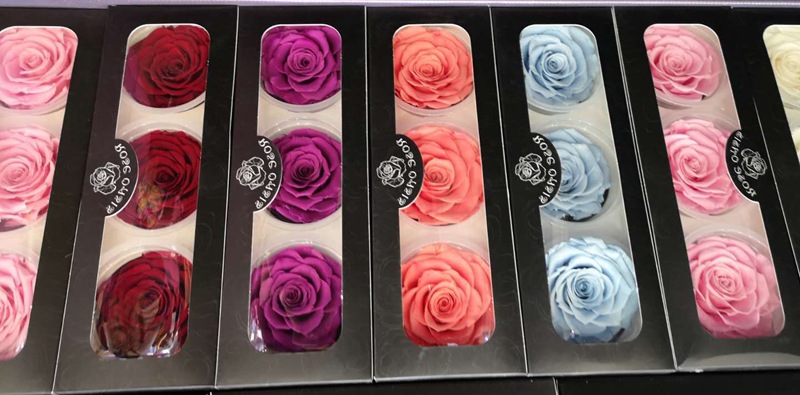 微信图片_20200209024615