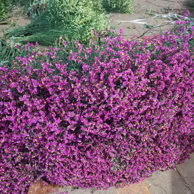 微信图片_20200622103130_副本