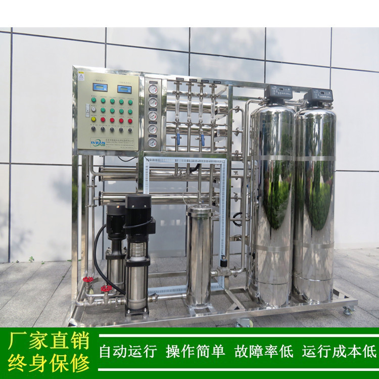 250L_500L_1000L_2000L全自动二级反渗透纯化水设备绿健厂家直销